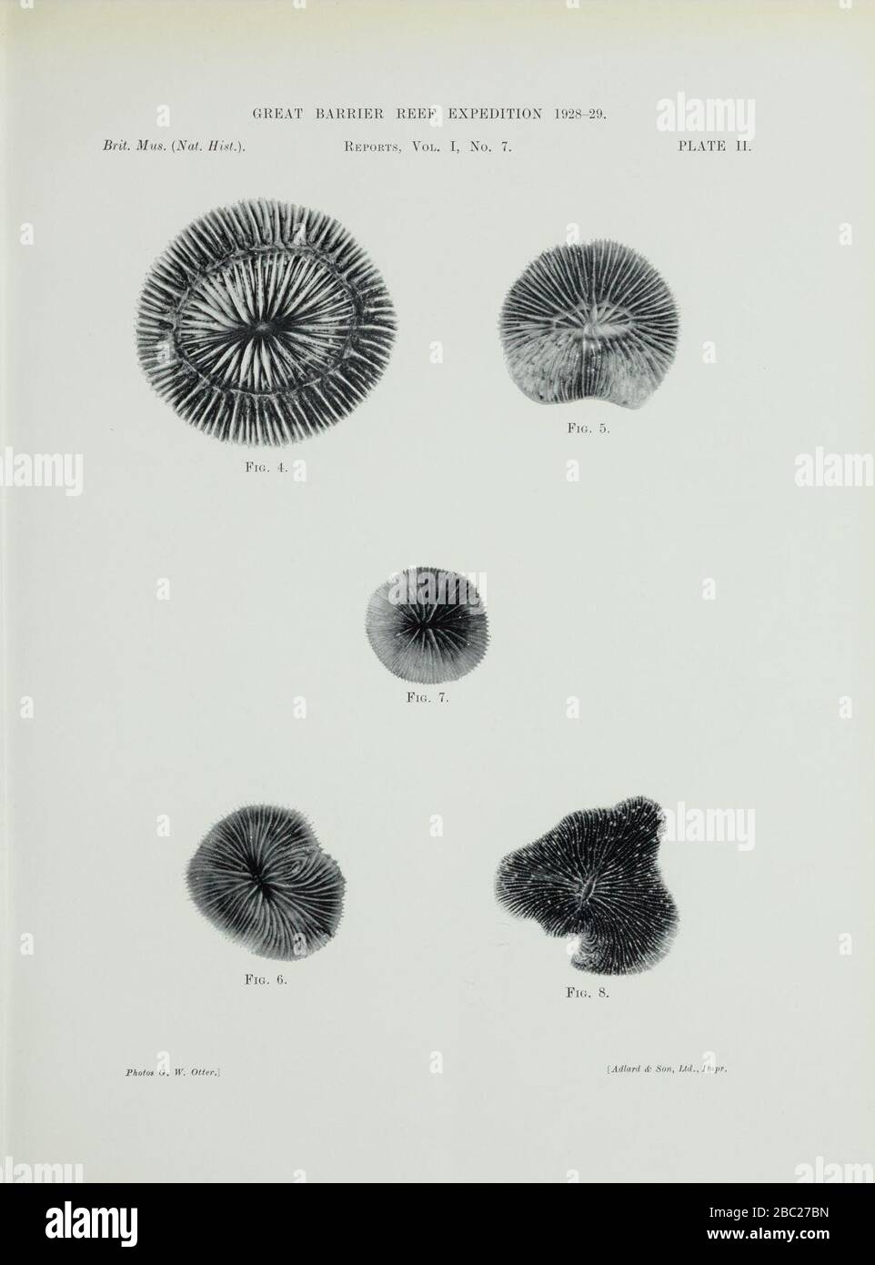 Great Barrier reef expedition, 1928-29 (Plate II Stock Photo - Alamy