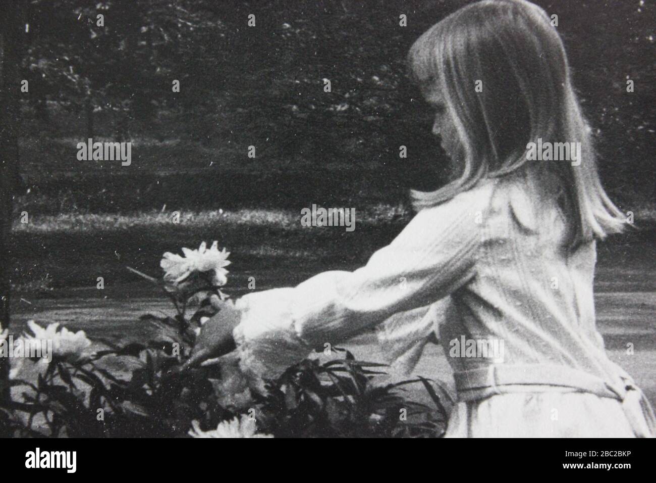 70s blond girl picking a beautiful flower Stock Photo
