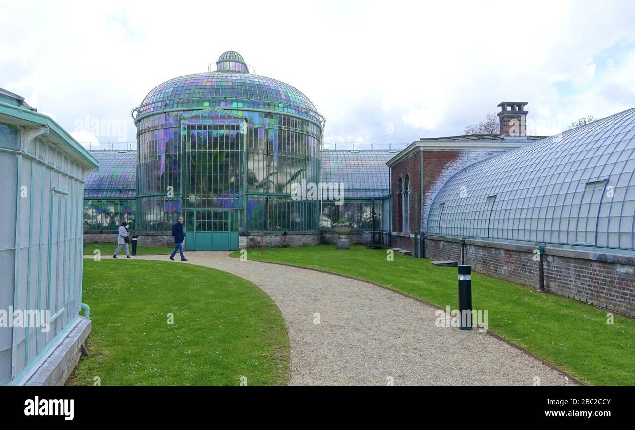 Belgium The Royal Greenhouse Hi-res Stock Photography And Images - Alamy