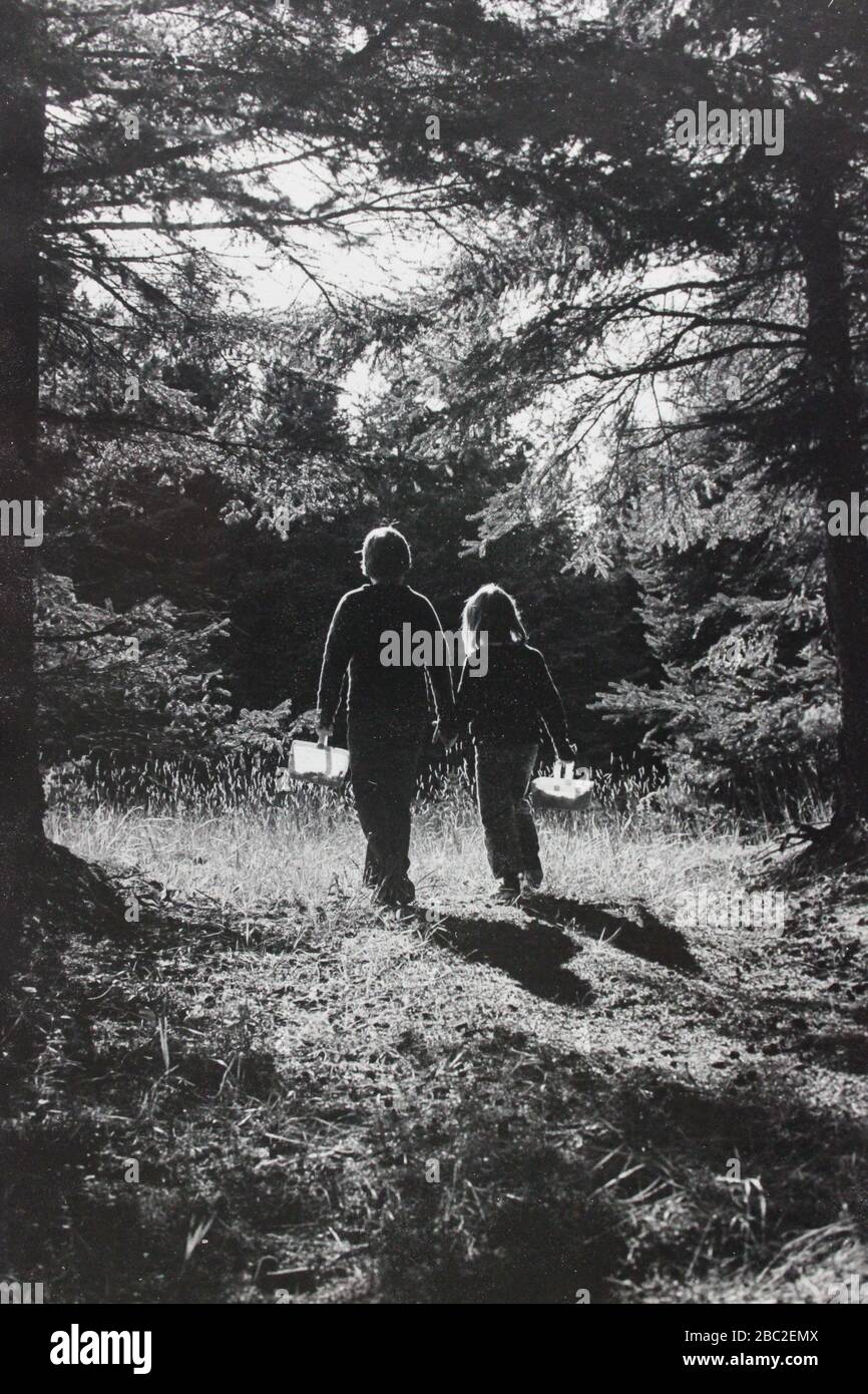 Black and white photo of two girls walking in the woods Stock Photo - Alamy