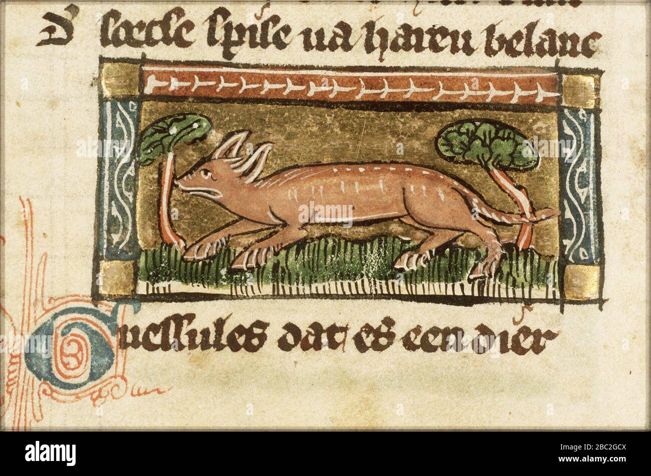 Gressulus - Der naturen bloeme - Jacob van Maerlant - KB KA 16 - 058v ...