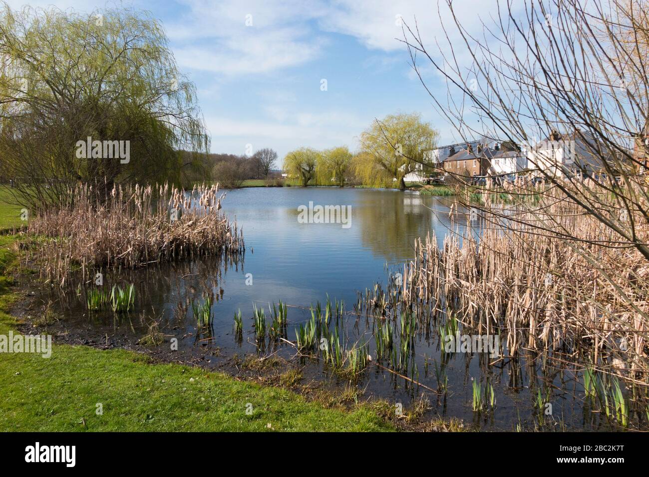 West end pond esher surrey hires stock photography and images Alamy