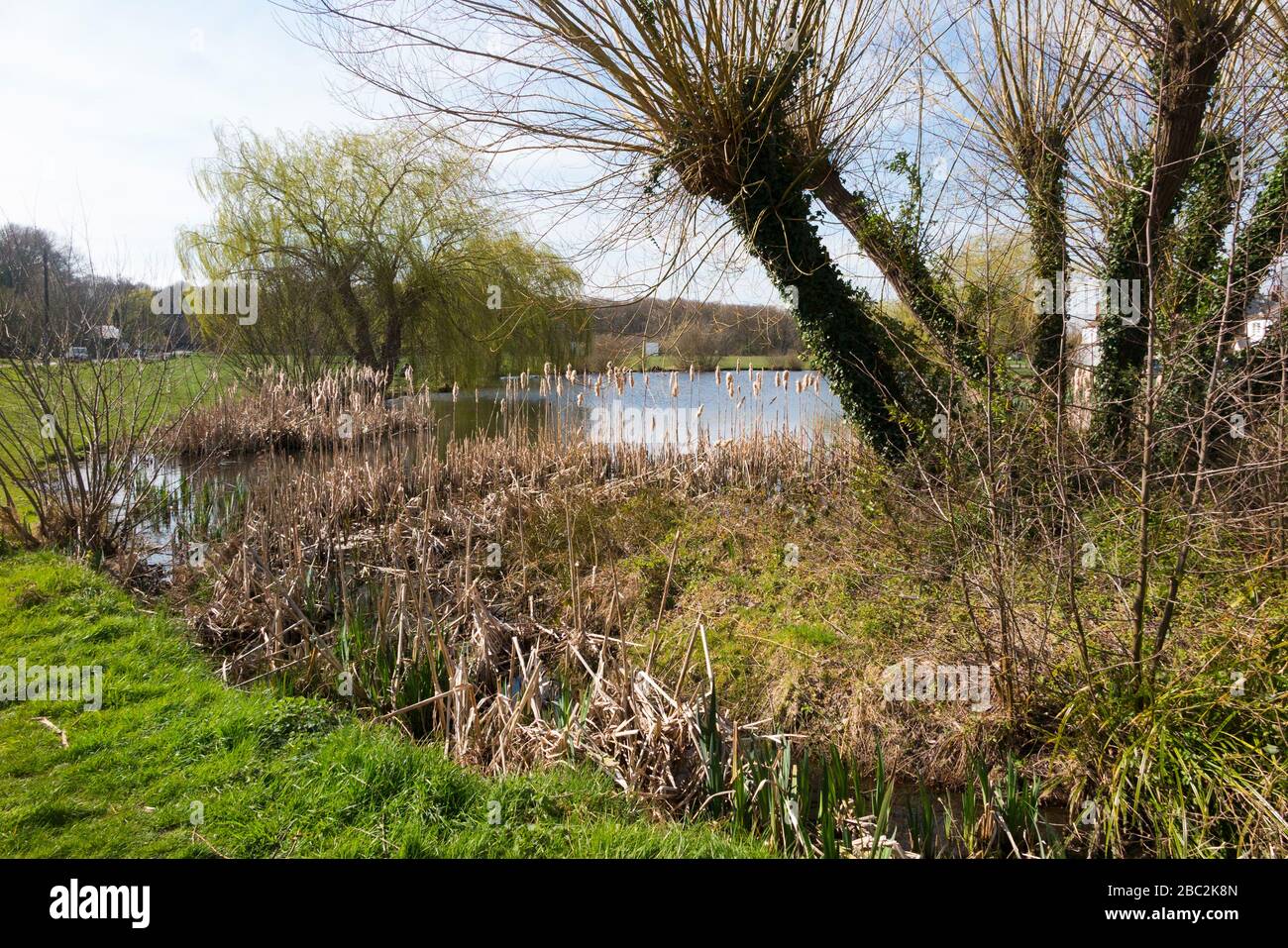 West end pond esher surrey hires stock photography and images Alamy