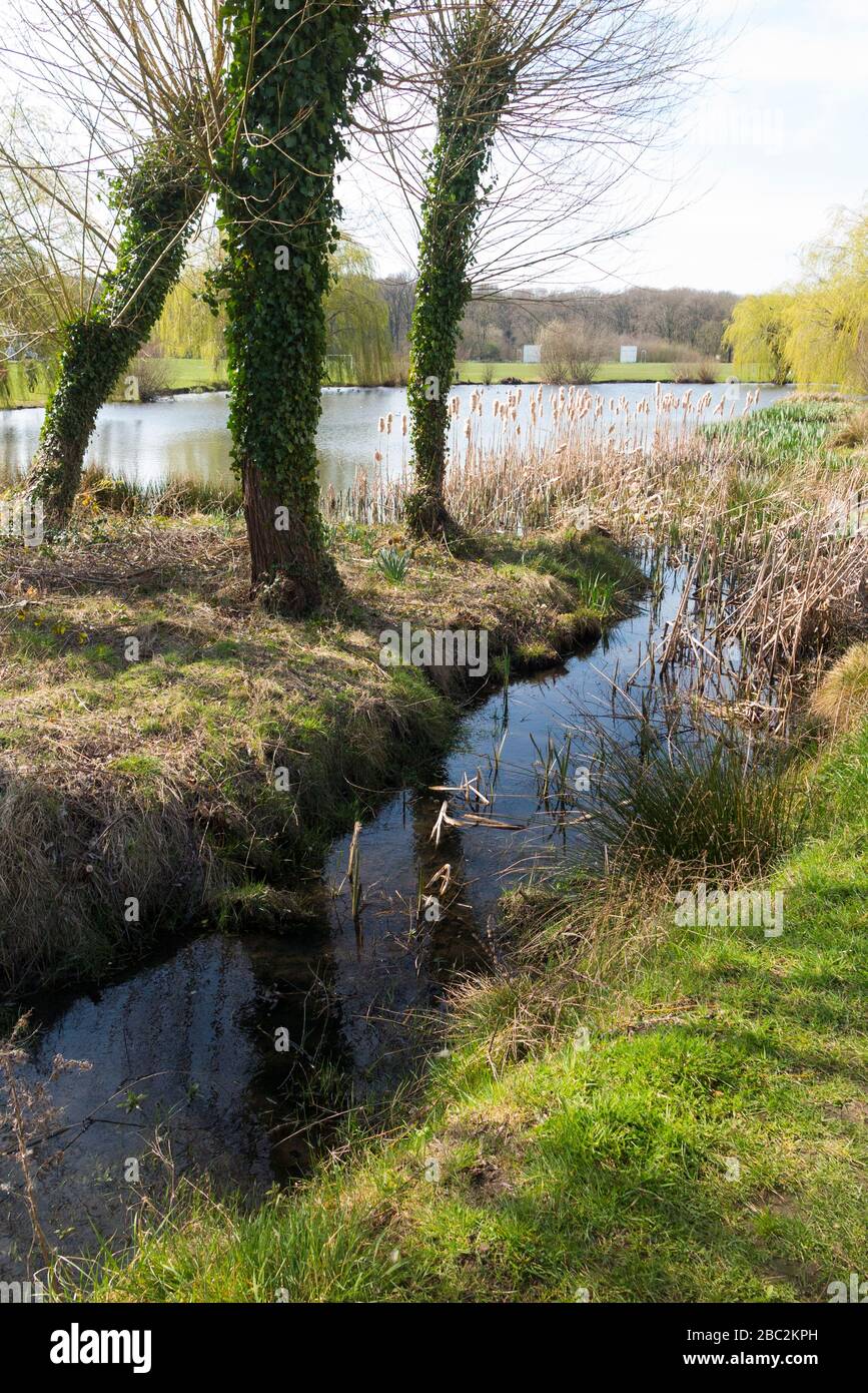 West end pond esher surrey hires stock photography and images Alamy