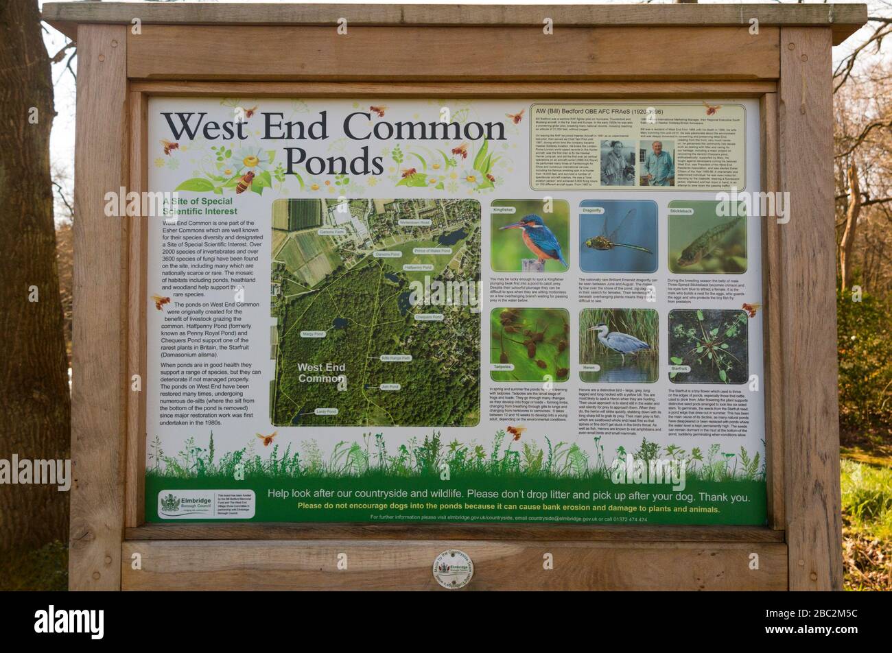 Tourist information sign beside West End Common ponds, near Esher, Surrey.  UK. The board and photographs gives natural history information on the pond  and creatures and animals that live in the woods. (