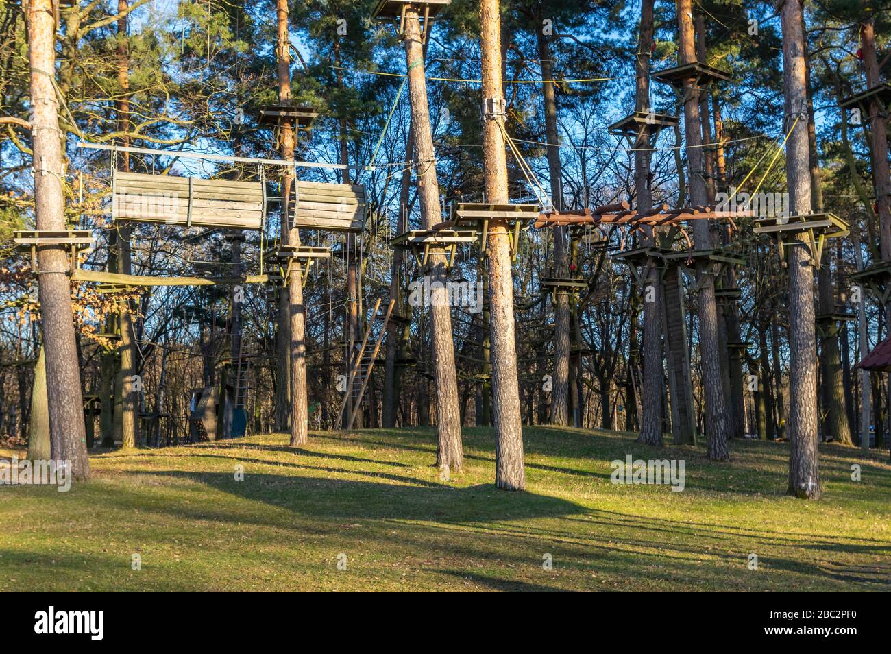 Climbing garden, high ropes course in the forest with various climbing