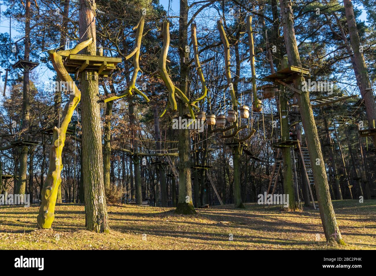 Climbing garden, high ropes course in the forest with various climbing elements and safety ropes between the individual trees and benches to rest Stock Photo