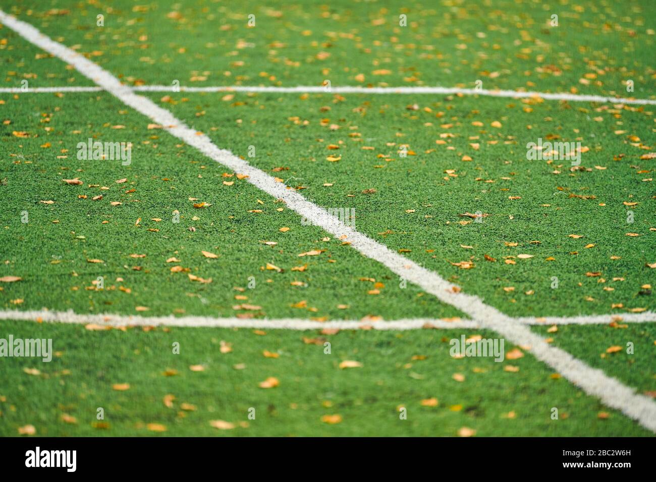 Artificial grass, sports field cover with marking. Artificial turf used