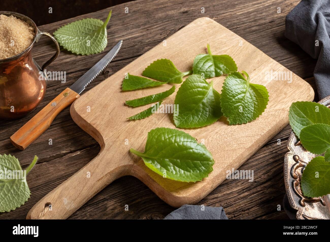 Cutting up silver spurflower leaves to prepare a homemade herbal syrup against common cold Stock Photo