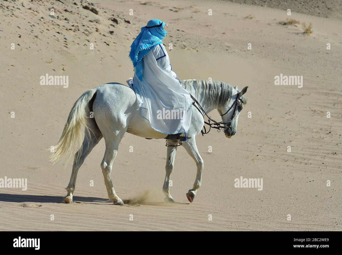 Rider in traditional clothes rides an arabian horse in the desert ...