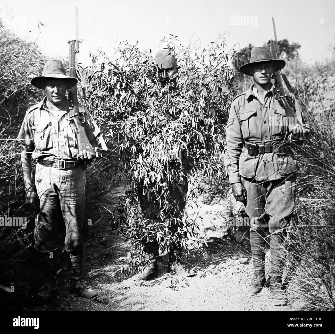 A Turkish camouflaged sniper captured by two Australian soldiers during WW1 Stock Photo
