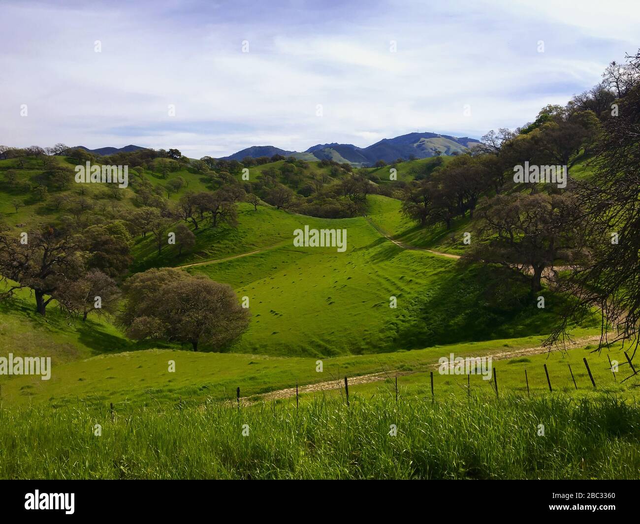 View of Mt. Diablo from Shell Ridge Stock Photo Alamy