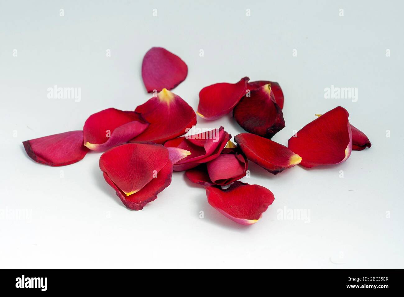 Real rose petals
