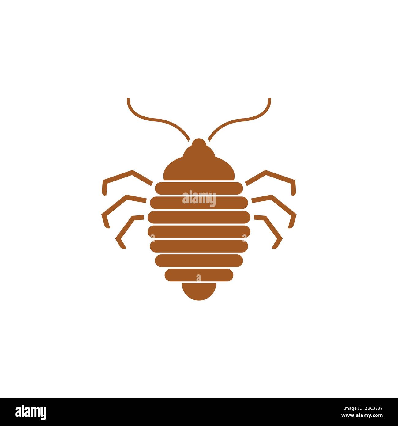 Bed bug icon. bedbug sign. chinch vector illustration Stock Vector