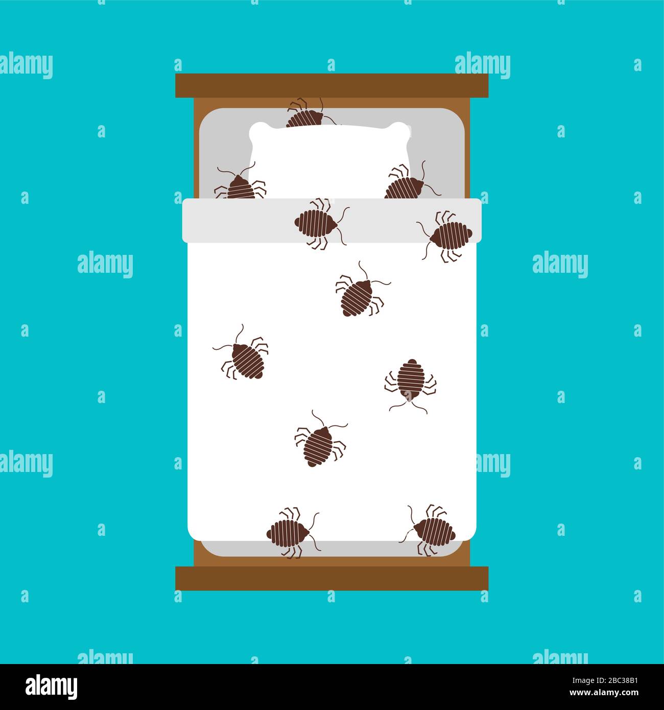 Bedbug in bed. chinch insect vector illustration Stock Vector