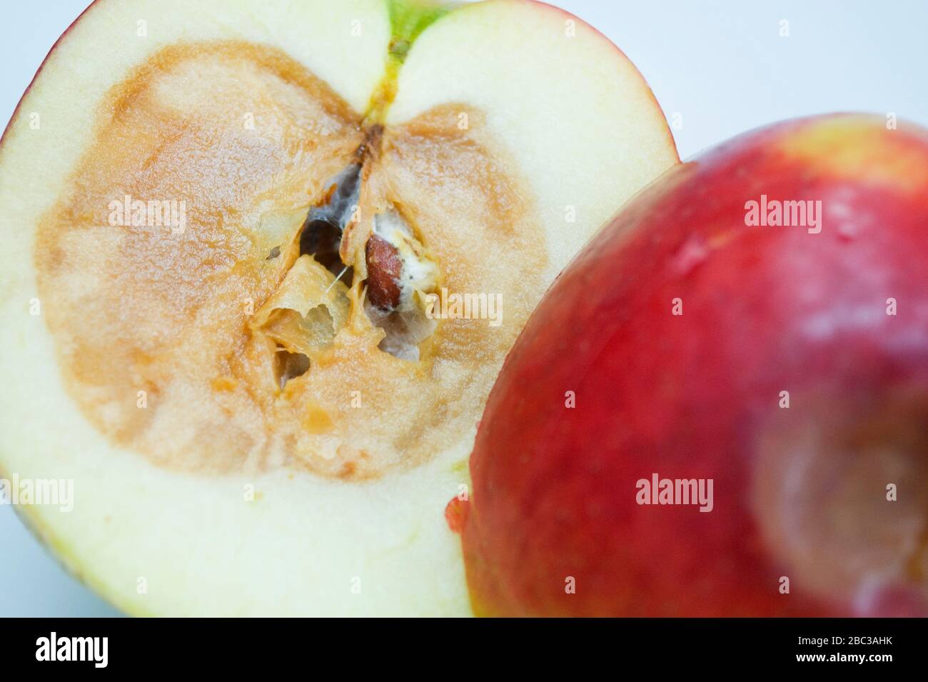 Tight crop of rotten apple sliced in half to expose rotten core. Other half with bruise on skin. Stock Photo