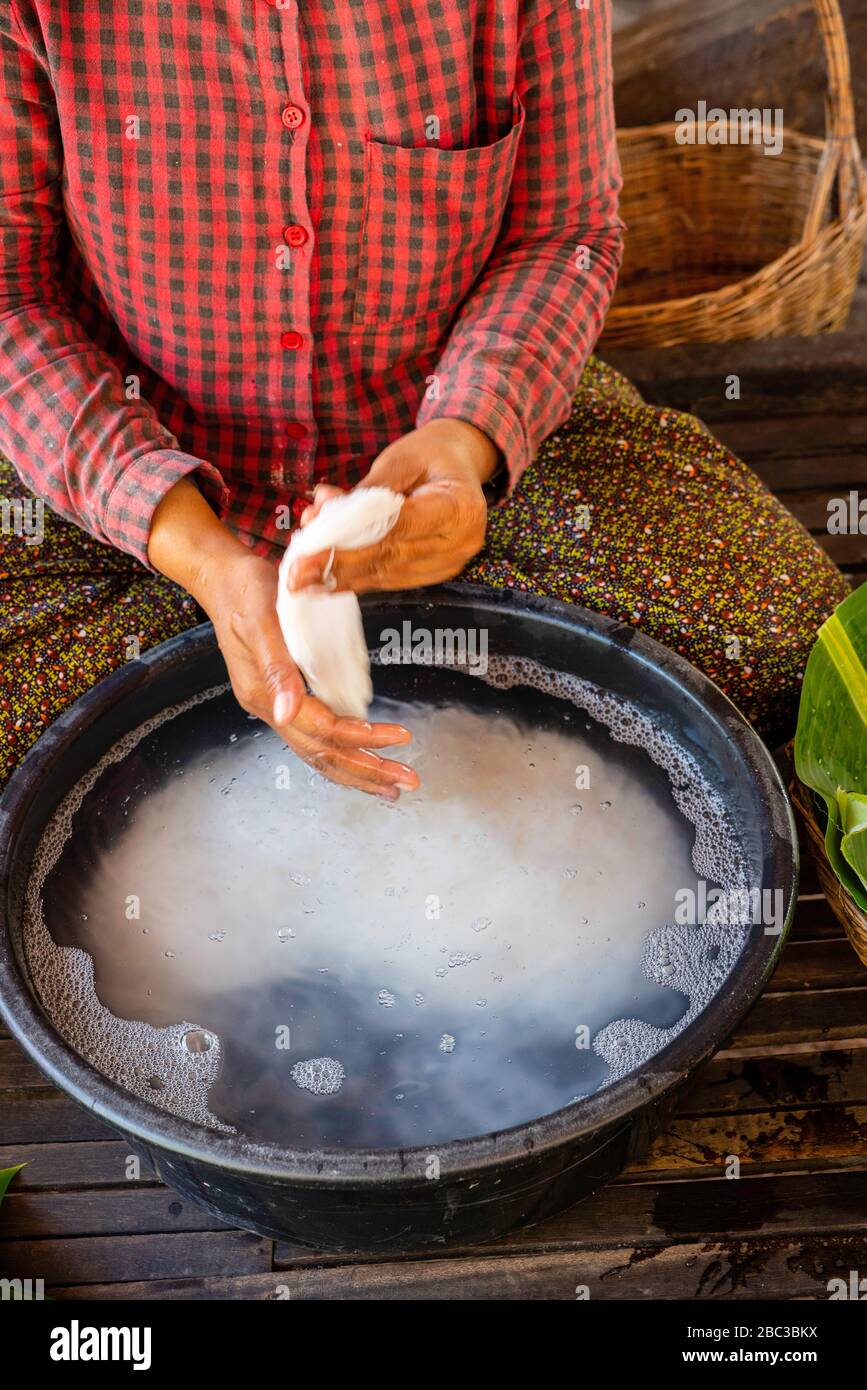 A woman packages rice noodles. Angkor Wat, Siem Reap, Cambodia Stock ...
