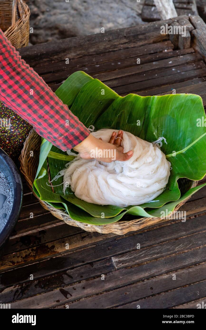 A woman packages rice noodles. Angkor Wat, Siem Reap, Cambodia Stock ...