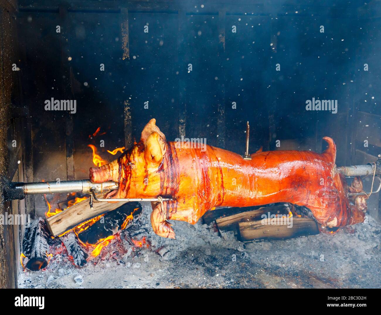 Hog roast: whole spit roast pig turning over a log fire for a barbecue at Postojnska Jama (Postojna Cave Park), Slovenia, central & eastern Europe Stock Photo