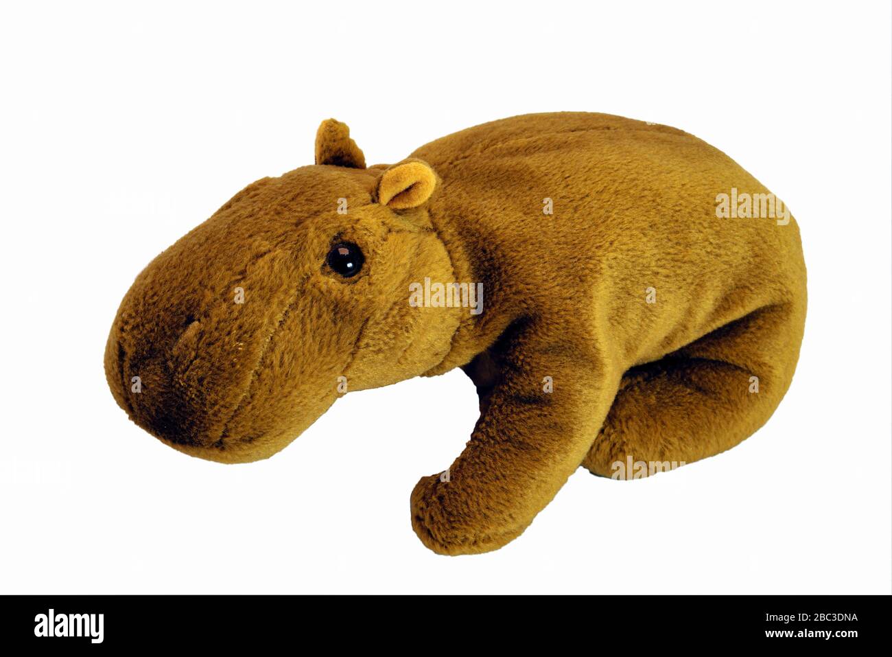 Children's soft toy hippo isolate on a white background on a white background. Stock Photo
