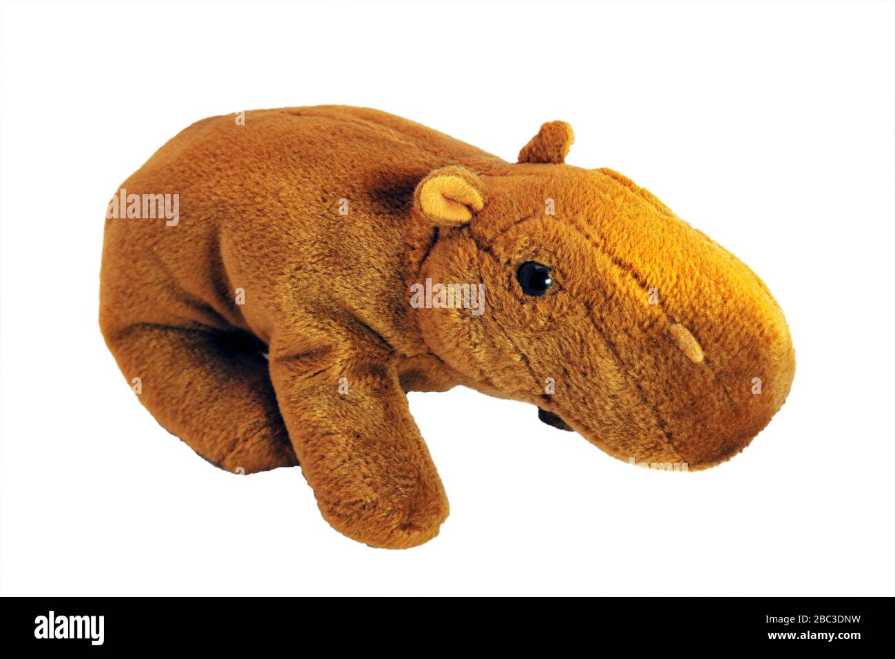 Children's soft toy hippo isolate on a white background on a white background. Stock Photo