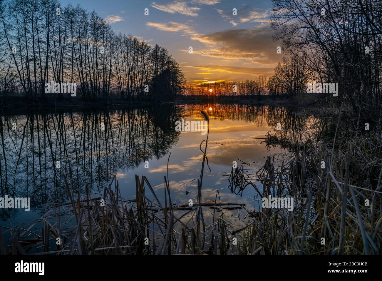 Pond River High Resolution Stock Photography and Images - Alamy
