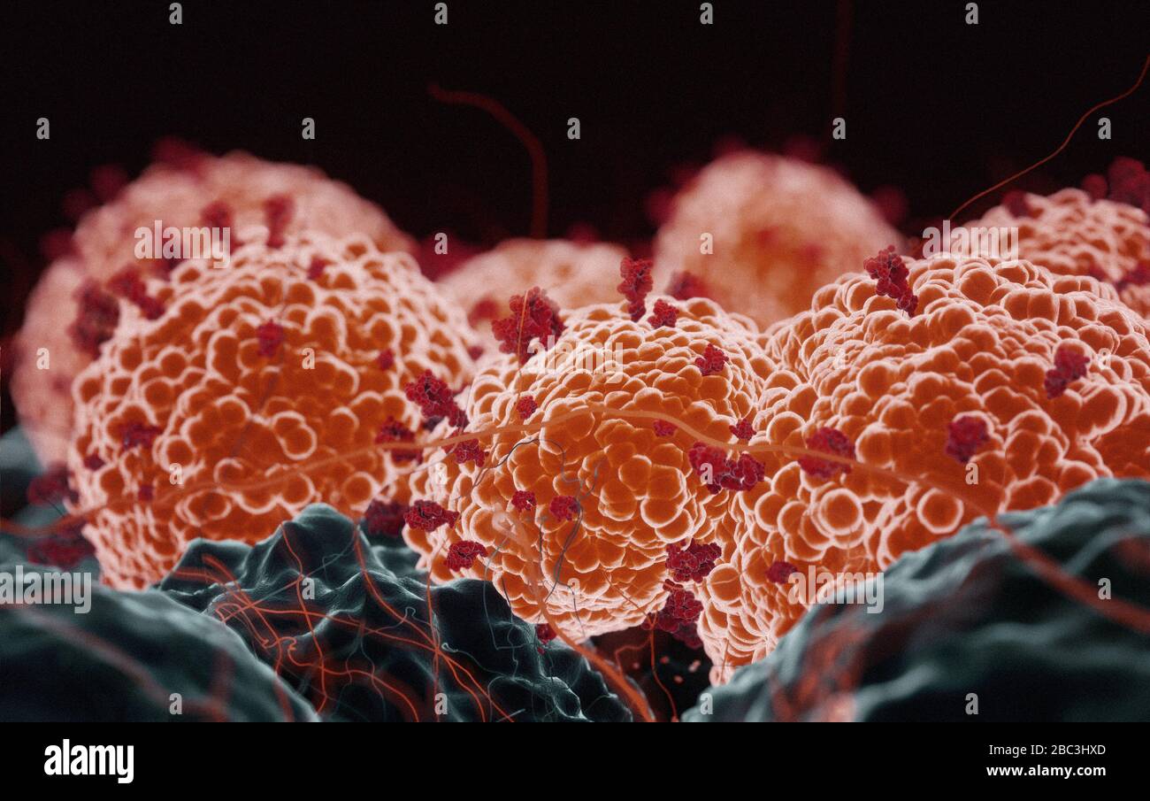 Coronavirus COVID-19 microscopy attacking human cells, 3D render as a microscopic image inside the human body based in SEM SARS photos Stock Photo