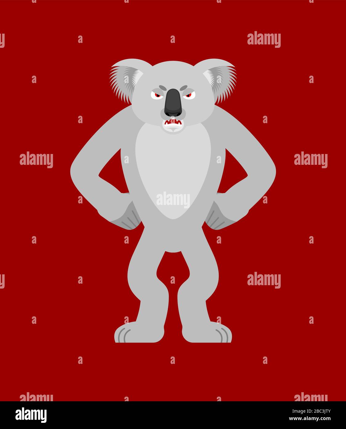 Koala angry. koala bear evil. Beast aggressive. Vector illustration