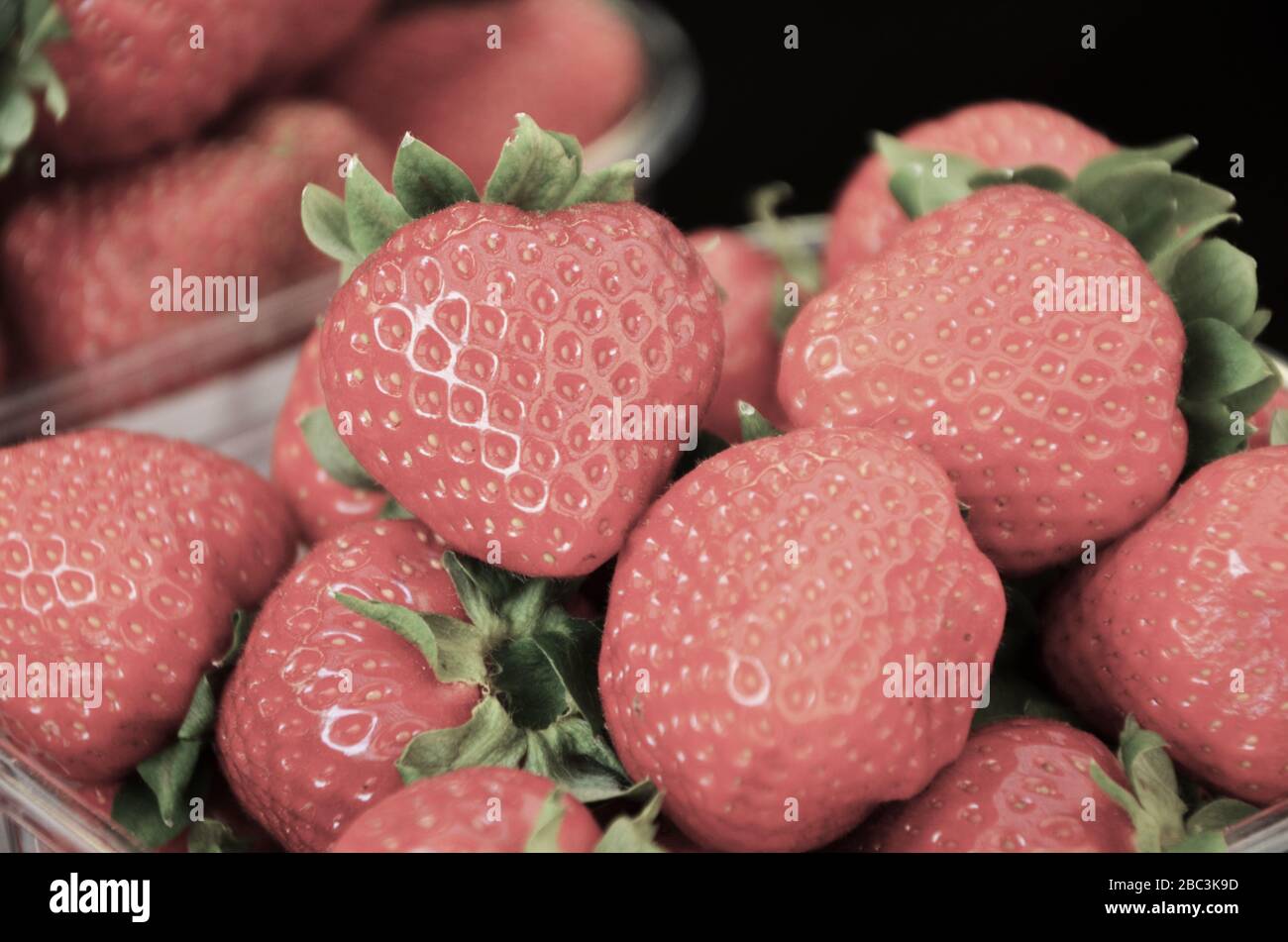 fresh strawberries close up view Stock Photo - Alamy