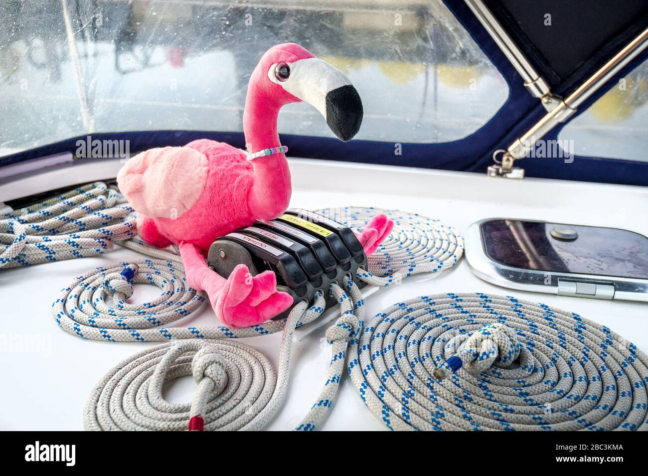 Pink flamingo toy and sailing yacht ropes perfectly coiled near it's clamps. Largs, Scotland. Stock Photo
