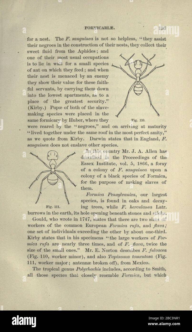 Guide to the study of insects stock photo alamy