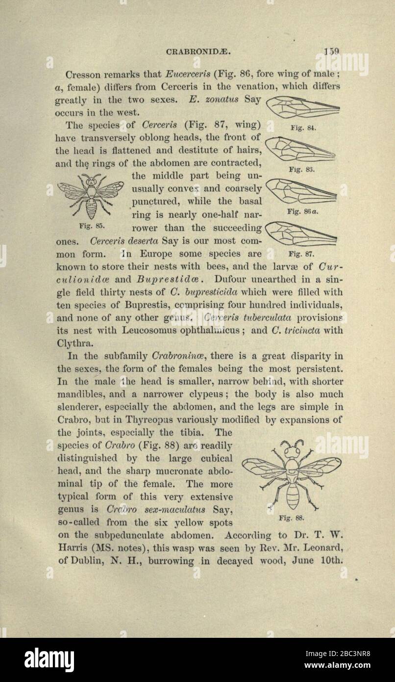 Guide to the study of insects stock photo alamy