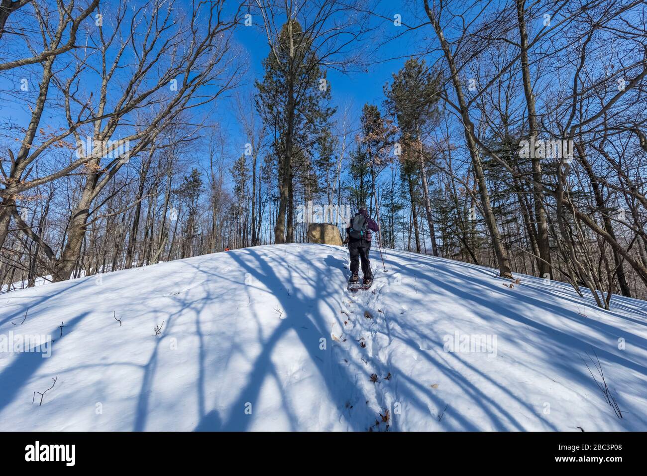 Karen Rentz snowshoeing at the Bundy Hill nature preserve in Isabella