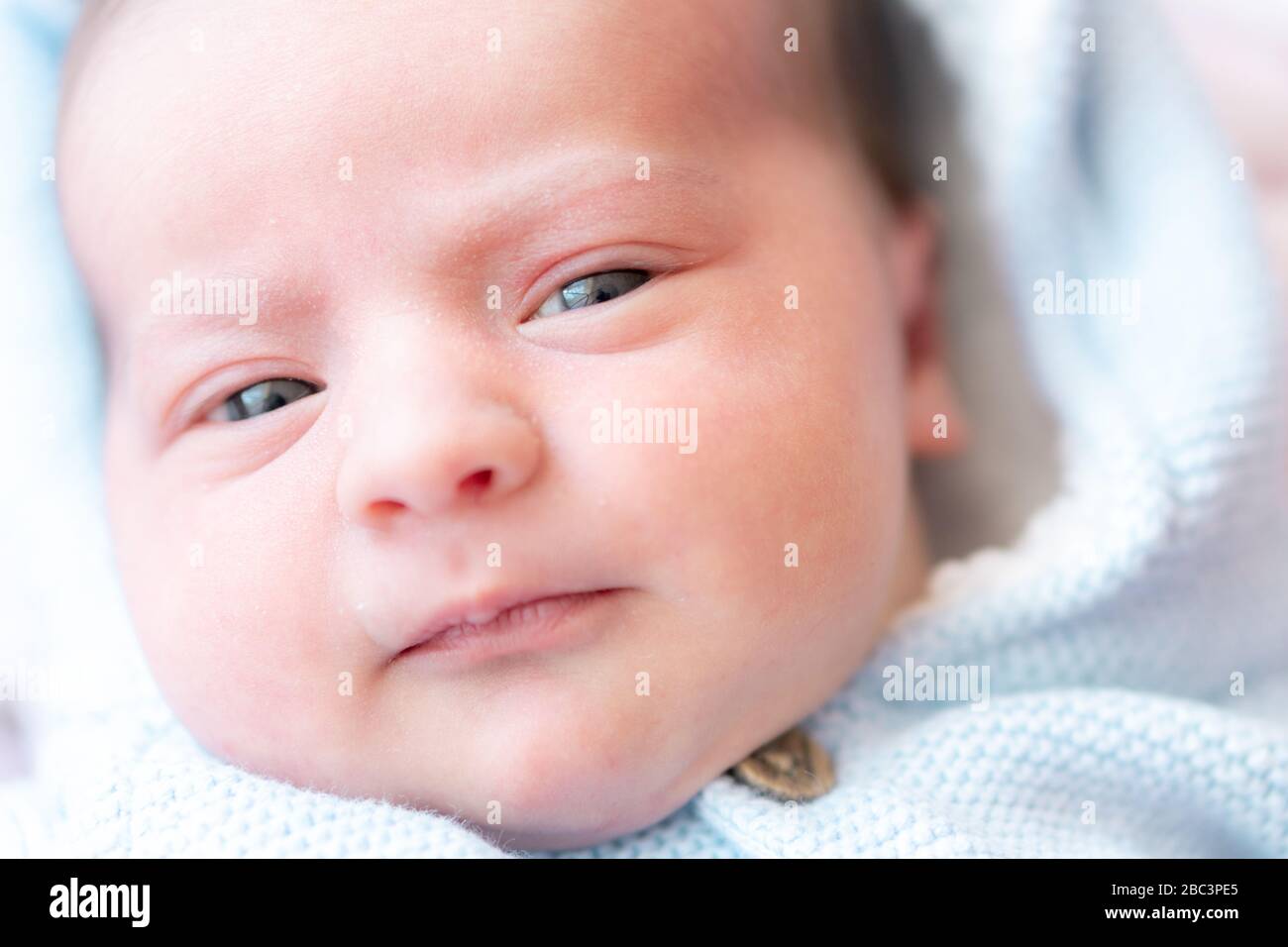 Close up portrait of a newborn baby. Closeup face of newborn baby with