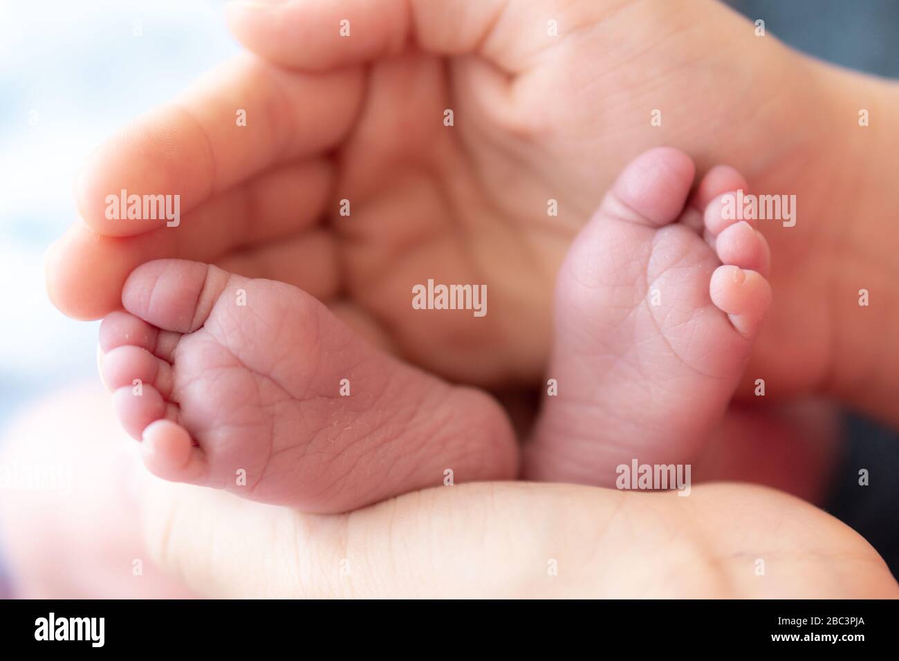 Feet of a newborn baby in mom's palms close. Close up of female hands