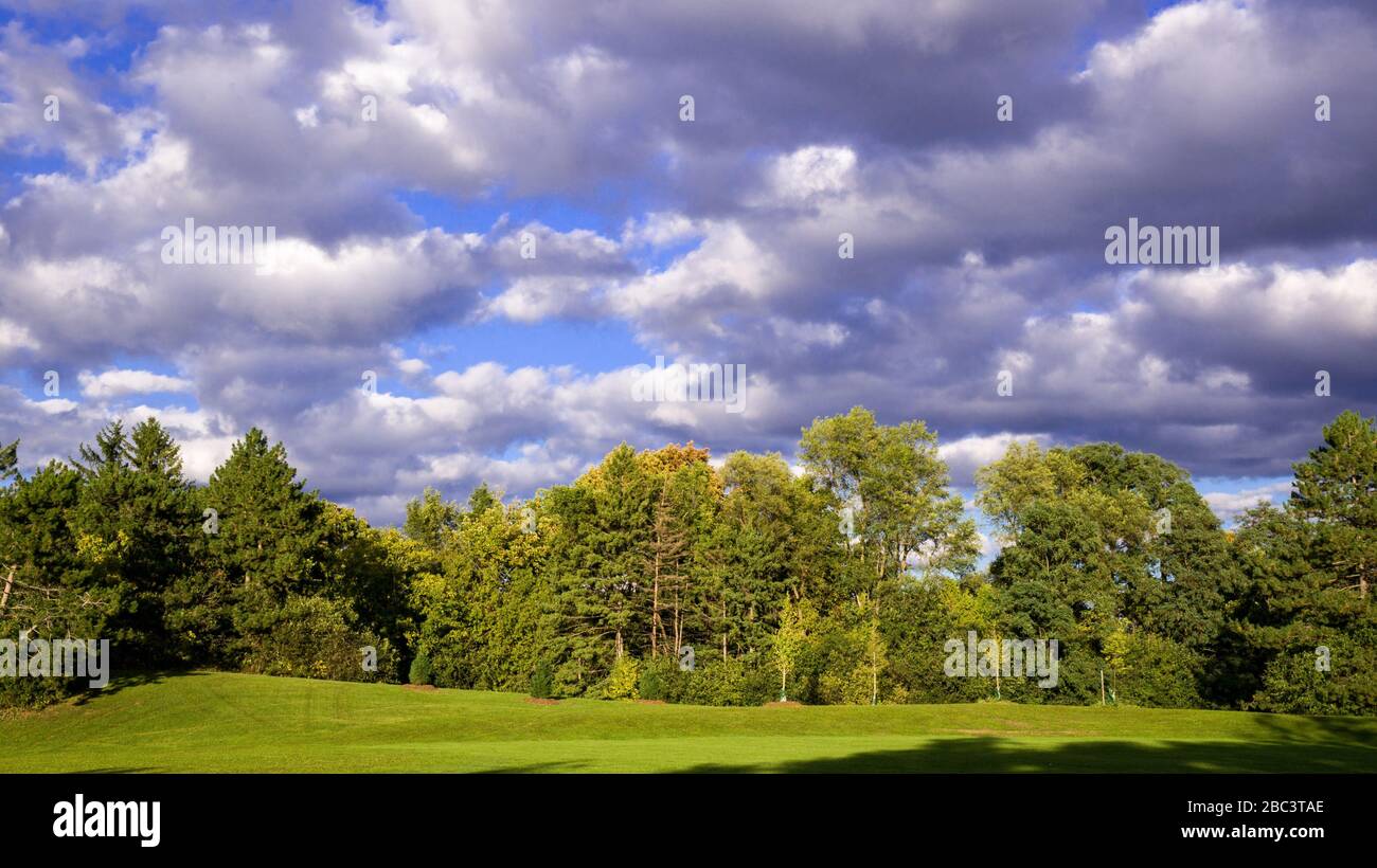 Scenic view of the park with green trees and grass field in city and a ...