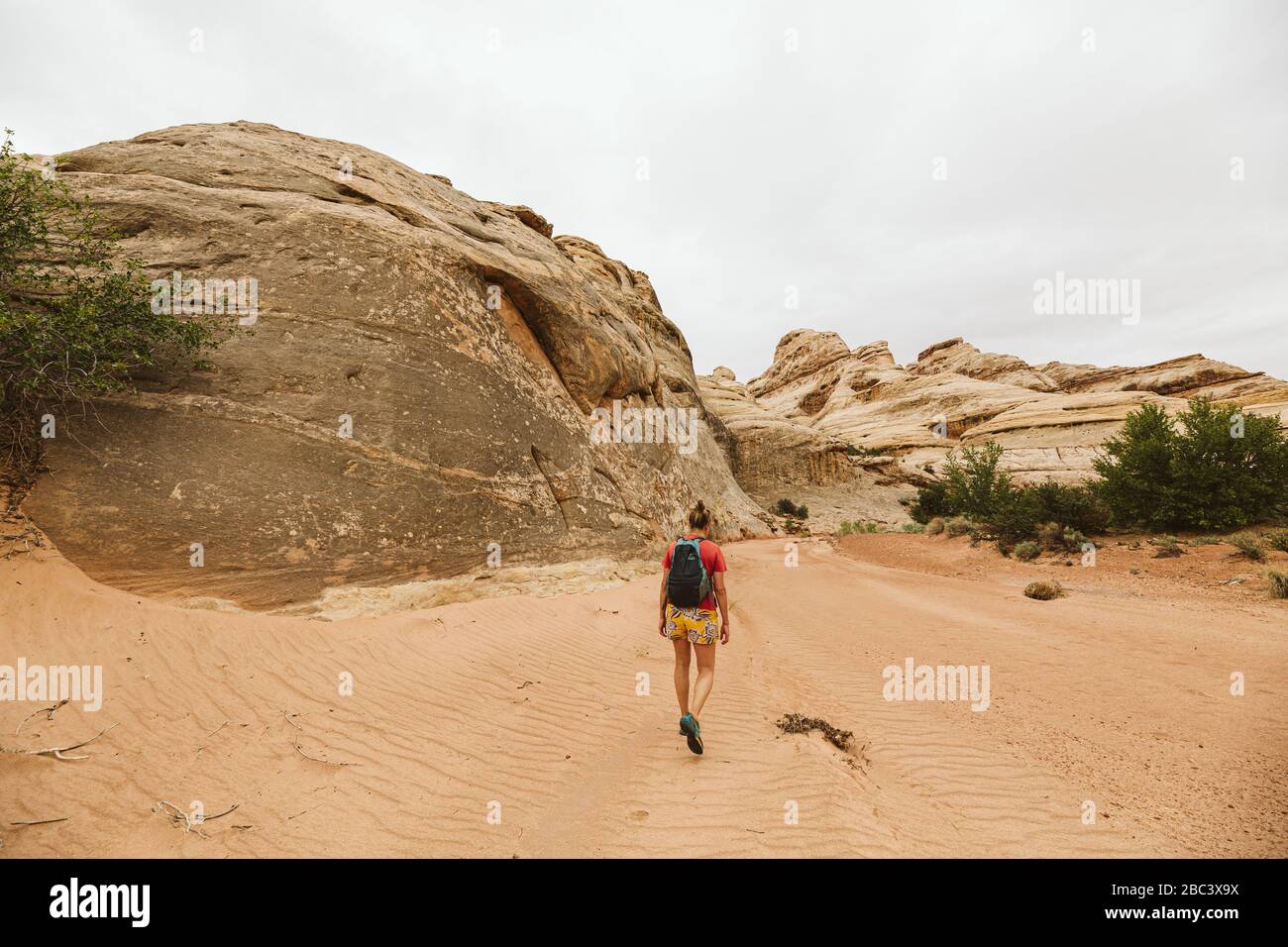 hiking in the sandy canyon bottoms of The Maze in Canyonlands utah Stock Photo