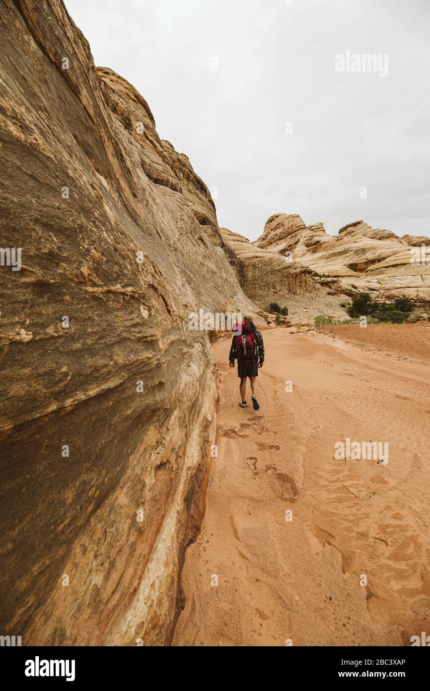 hiker walks through sand in a dried arroyo in The Maze Canyonlands Stock Photo