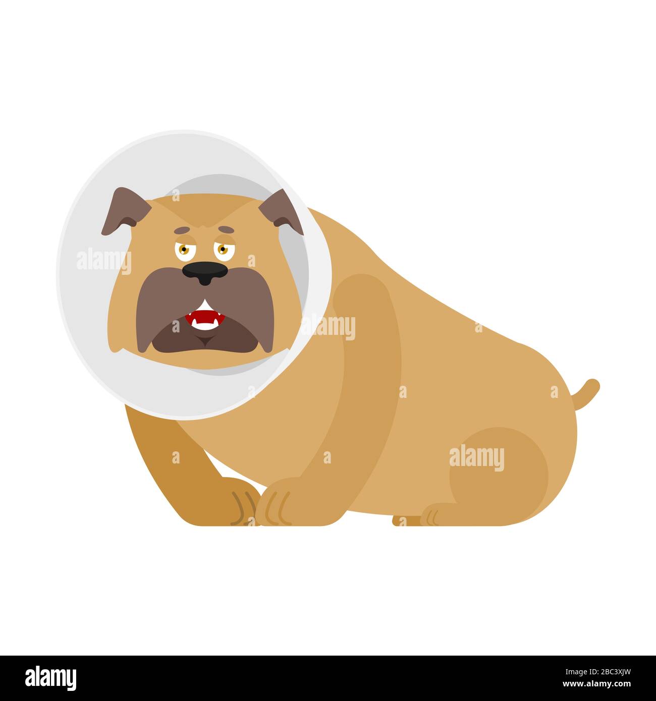 Dog with Elizabethan collar. Pet cone. Veterinary equipment vector illustration Stock Vector