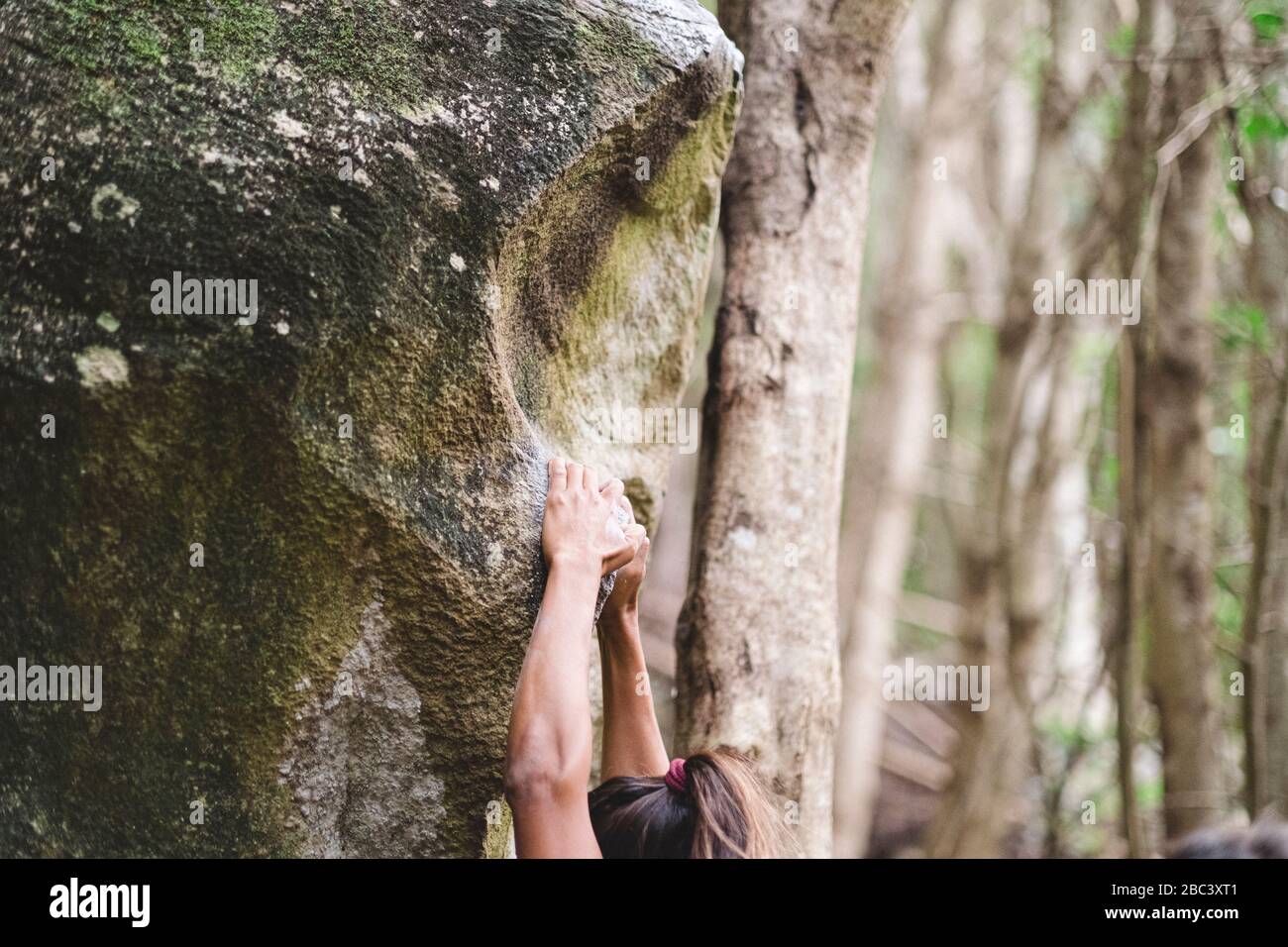 Upper body of a female climber climbing a rock in a forest Stock Photo