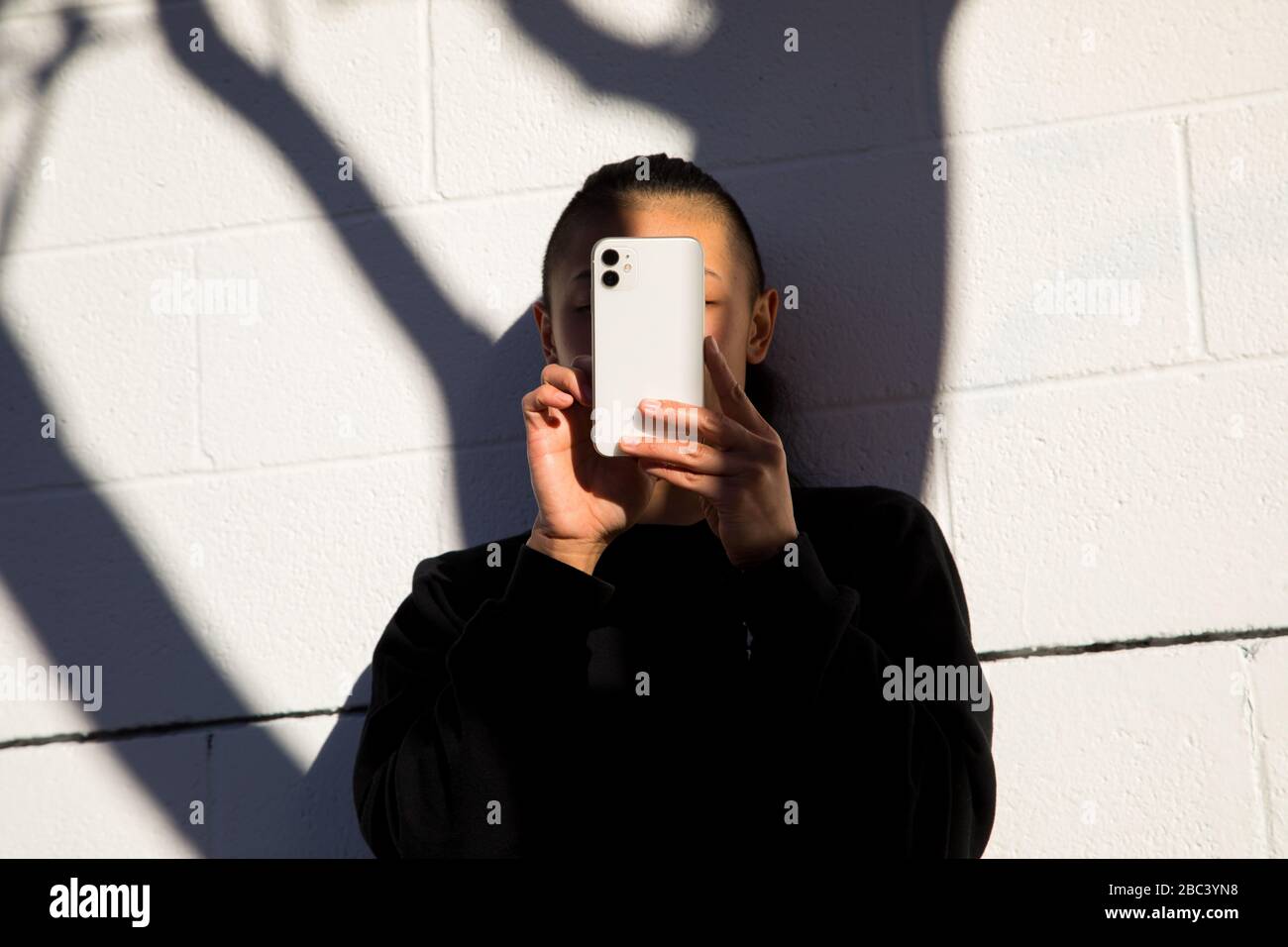 woman using cell phone outdoors with tree shadow Stock Photo