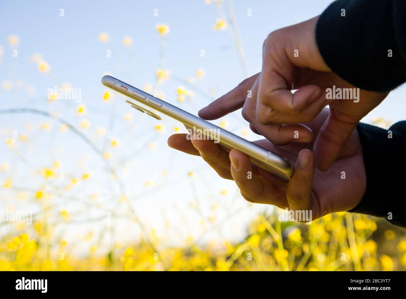 Womans hands holding cell phone hi-res stock photography and images - Alamy