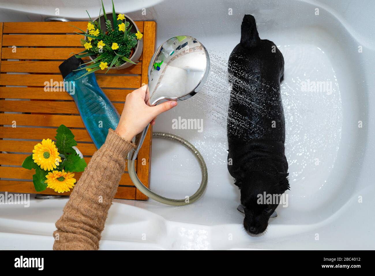 Showering hires stock photography and images Alamy