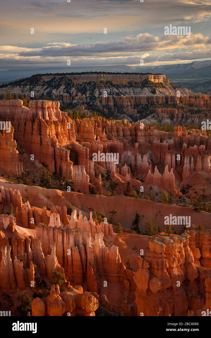 Bryce Canyon at sunrise from Sunset Point; Bryce Canyon  National Park, Utah. Stock Photo