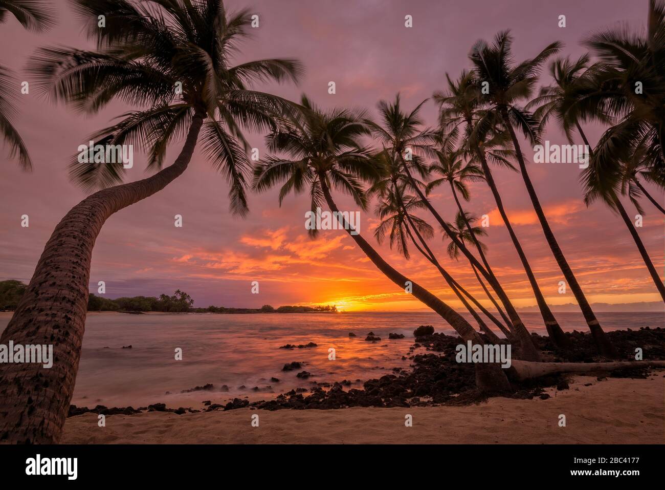 Sunset and coconut palm trees at Makalawena Beach, Kekaha Kai State Park, Kona-Kohala Coast, Big Island of Hawaii. Stock Photo