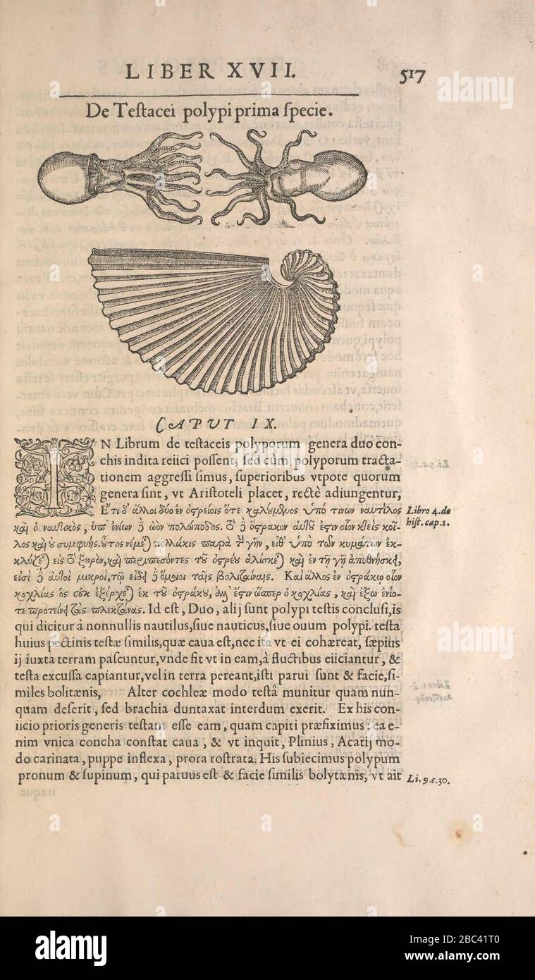Page517