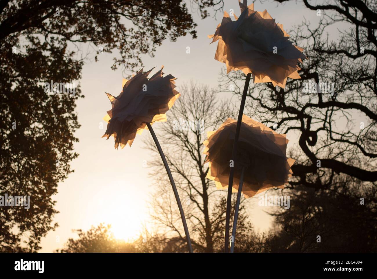 Illuminated Christmas Trail Flowers Installation Sculptures