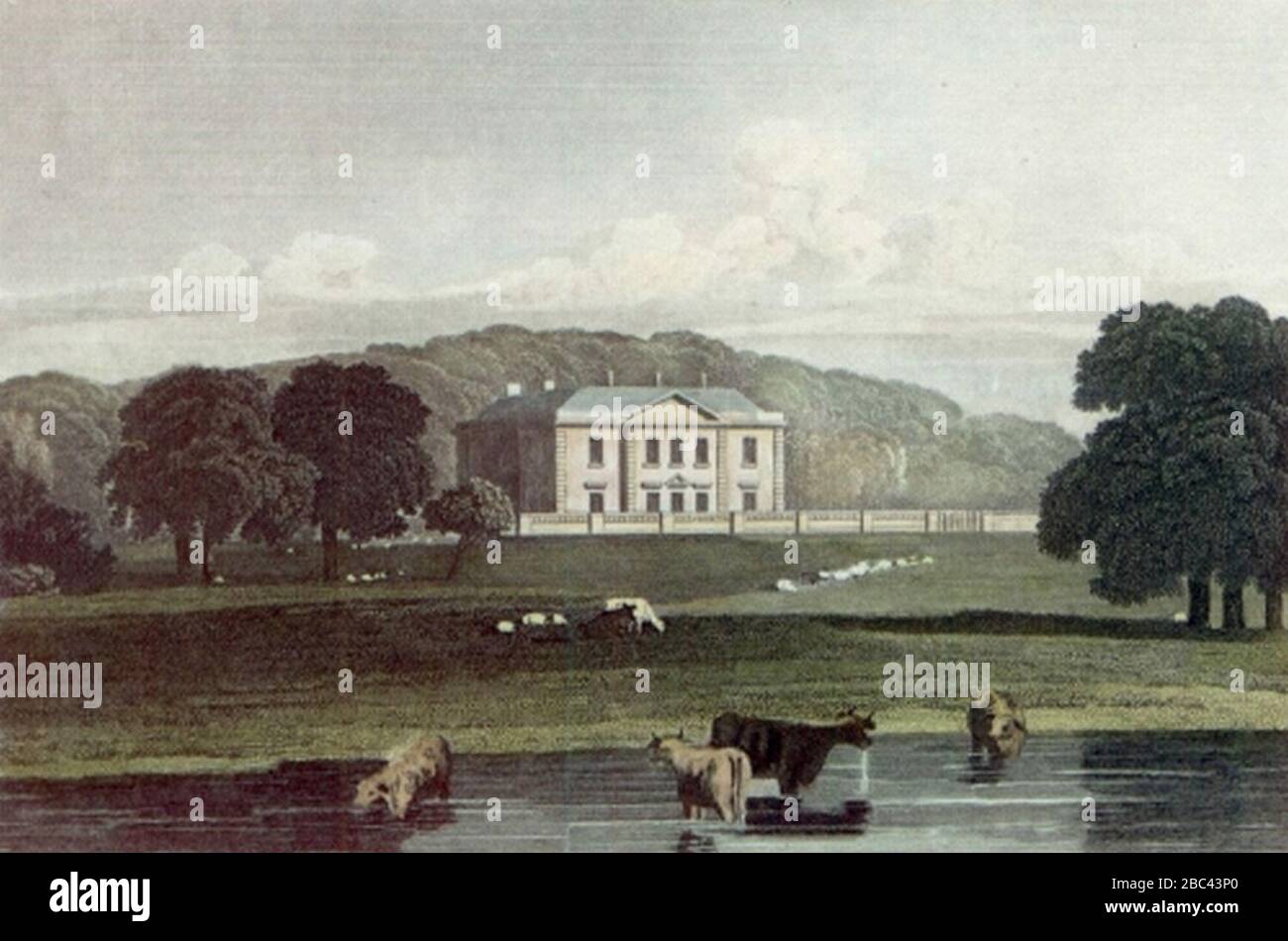 Gunton Park. Print 1819. by JP Neale.. Stock Photo