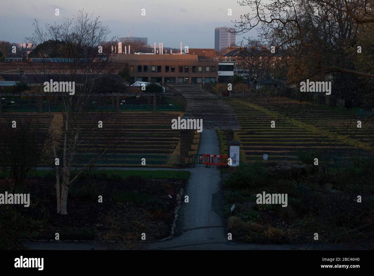 Rose Garden Royal Botanical Gardens Kew Gardens, Richmond, London, TW9