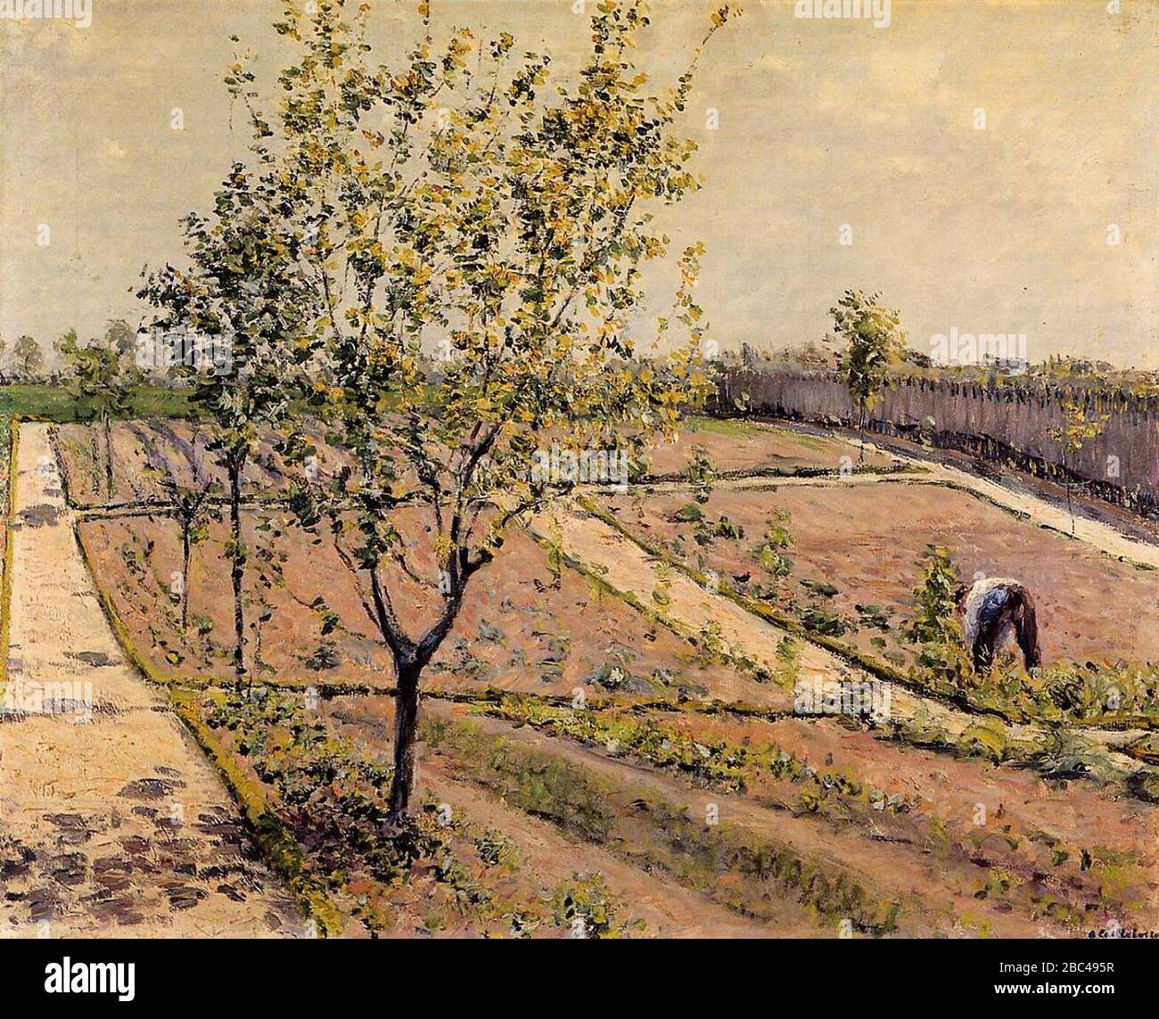 Gustave Caillebotte Le Jardin Potager Petit Gennevilliers Stock Photo Alamy